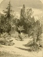 An illustration from The parks and gardens of Paris, considered in relation to the wants of other cities and of the public and private gardens; being notes on a study of Paris gardens (1878)