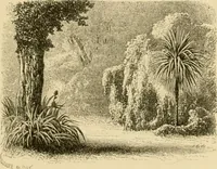 An illustration from The parks and gardens of Paris, considered in relation to the wants of other cities and of the public and private gardens; being notes on a study of Paris gardens (1878)