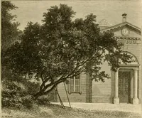 An illustration from The parks and gardens of Paris, considered in relation to the wants of other cities and of the public and private gardens; being notes on a study of Paris gardens (1878)