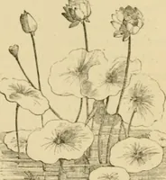 An illustration from The parks and gardens of Paris, considered in relation to the wants of other cities and of the public and private gardens; being notes on a study of Paris gardens (1878)