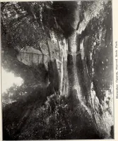 An illustration from Parks & memorials of the State of Illinois (1920)