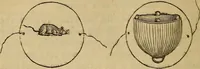 An illustration from Parlour magic (1838)