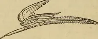 An illustration from Parlour magic (1838)