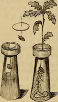 Picture 9 of 42 from Parlour magic (1838), leaf 25