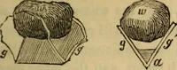 An illustration from Parlour magic (1838)