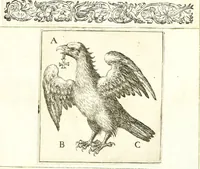 An illustration from Parnassvs cum imaginibus mvsarvm deorumq[ue] praesidum Hippocrenes : omnia depicta sunt, & distichis latinis illustrata (1601)