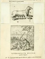 Picture 44 of 49 from Parnassvs cum imaginibus mvsarvm deorumq[ue] praesidum Hippocrenes : omnia depicta sunt, & distichis latinis illustrata (1601), leaf 81