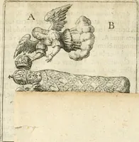An illustration from Parnassvs cum imaginibus mvsarvm deorumq[ue] praesidum Hippocrenes : omnia depicta sunt, & distichis latinis illustrata (1601)