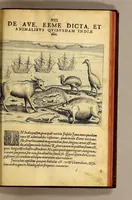 Picture 7 of 7 from Pars quarta Indiae Orientalis: qua primum varij generis animalia, fructus, arbores: item, aromata seu species & materialia: similiter & margarita seu vniones, ac gemmarum species pleraeq[ue]; sicut in India tum effodiantur, tum generentur; quo itidem in censu, pretio & appellatione sint, accuratè describuntur. : Per Ioannem Hugonem Lintschotanum, & nonnullos alios. Descriptioni huic adiectae nonnullibi sunt annotationes clariss. Dn. Bernhardi Paludani Doct. apud Enckhusanos Medici, apprimè vtiles & eruditae. Secundo: nouissima Hollandorum in Indiam Orientalem nauigatio, ad veris anni 1598. introitum suscepta, & quatuor exinde reducibus nauibus mense Iulio An. 1599. confecta, exponitur. (1601), leaf 143