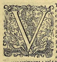 Picture 5 of 9 from Pars quarta Indiae Orientalis: qua primum varij generis animalia, fructus, arbores: item, aromata seu species & materialia: similiter & margarita seu vniones, ac gemmarum species pleraeq[ue]; sicut in India tum effodiantur, tum generentur; quo itidem in censu, pretio & appellatione sint, accuratè describuntur. : Per Ioannem Hugonem Lintschotanum, & nonnullos alios. Descriptioni huic adiectae nonnullibi sunt annotationes clariss. Dn. Bernhardi Paludani Doct. apud Enckhusanos Medici, apprimè vtiles & eruditae. Secundo: nouissima Hollandorum in Indiam Orientalem nauigatio, ad veris anni 1598. introitum suscepta, & quatuor exinde reducibus nauibus mense Iulio An. 1599. confecta, exponitur. (1601), leaf 13