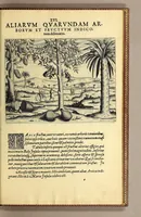 Picture 9 of 9 from Pars quarta Indiae Orientalis: qua primum varij generis animalia, fructus, arbores: item, aromata seu species & materialia: similiter & margarita seu vniones, ac gemmarum species pleraeq[ue]; sicut in India tum effodiantur, tum generentur; quo itidem in censu, pretio & appellatione sint, accuratè describuntur. : Per Ioannem Hugonem Lintschotanum, & nonnullos alios. Descriptioni huic adiectae nonnullibi sunt annotationes clariss. Dn. Bernhardi Paludani Doct. apud Enckhusanos Medici, apprimè vtiles & eruditae. Secundo: nouissima Hollandorum in Indiam Orientalem nauigatio, ad veris anni 1598. introitum suscepta, & quatuor exinde reducibus nauibus mense Iulio An. 1599. confecta, exponitur. (1601), leaf 157