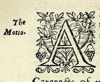 Picture 23 of 29 from Partheneia sacra, or, The mysterious and delicious garden of the sacred Parthenes : symbolically set forth and enriched with pious devises and emblemes for the entertainment of deuout soules, contriued al to the honour of the incomparable Virgin Marie, Mother of God, for the pleasure and deuotion especially of the parthenian sodalitie of her Immaculate Conception (1633), leaf 236