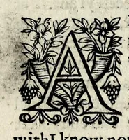 An illustration from Partheneia sacra, or, The mysterious and delicious garden of the sacred Parthenes : symbolically set forth and enriched with pious devises and emblemes for the entertainment of deuout soules, contriued al to the honour of the incomparable Virgin Marie, Mother of God, for the pleasure and deuotion especially of the parthenian sodalitie of her Immaculate Conception (1633)