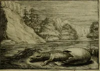 An illustration from Emblemata Florentii Schoonhovii I.C. Goudani, partim moralia, partim etiam civilia. Cum latiori eorundem ejusdem auctoris interpretatione. Accedunt et alia quaedam poëmatia in alijs poëmatum suorum libris non contenta (1618)