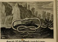 An illustration from Emblemata Florentii Schoonhovii I.C. Goudani, partim moralia, partim etiam civilia. Cum latiori eorundem ejusdem auctoris interpretatione. Accedunt et alia quaedam poëmatia in alijs poëmatum suorum libris non contenta (1618)