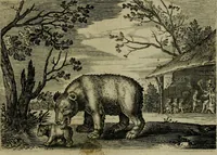 An illustration from Emblemata Florentii Schoonhovii I.C. Goudani, partim moralia, partim etiam civilia. Cum latiori eorundem ejusdem auctoris interpretatione. Accedunt et alia quaedam poëmatia in alijs poëmatum suorum libris non contenta (1618)