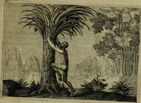An illustration from Emblemata Florentii Schoonhovii I.C. Goudani, partim moralia, partim etiam civilia. Cum latiori eorundem ejusdem auctoris interpretatione. Accedunt et alia quaedam poëmatia in alijs poëmatum suorum libris non contenta (1618)
