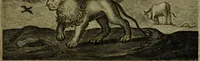 An illustration from Emblemata Florentii Schoonhovii I.C. Goudani, partim moralia, partim etiam civilia. Cum latiori eorundem ejusdem auctoris interpretatione. Accedunt et alia quaedam poëmatia in alijs poëmatum suorum libris non contenta (1618)