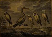 An illustration from Emblemata Florentii Schoonhovii I.C. Goudani, partim moralia, partim etiam civilia. Cum latiori eorundem ejusdem auctoris interpretatione. Accedunt et alia quaedam poëmatia in alijs poëmatum suorum libris non contenta (1618)