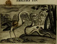An illustration from Emblemata Florentii Schoonhovii I.C. Goudani, partim moralia, partim etiam civilia. Cum latiori eorundem ejusdem auctoris interpretatione. Accedunt et alia quaedam poëmatia in alijs poëmatum suorum libris non contenta (1618)