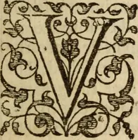 An illustration from A treatise of the passions and faculties of the soule of man : with the severall dignities and corruptions thereunto belonging (1640)