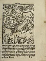 An illustration from Passional Christi unnd Antichristi (1521)