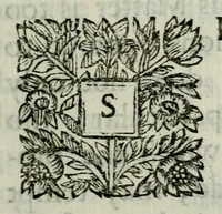 An illustration from A pastoral letter writ by the Right Reverend father in God, Gilbert, Lord Bishop of Sarum, to the clergy of the diocess, concerning the oaths of allegiance and supremacy to K. William and Q. Mary (1689)