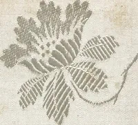 An illustration from Pattern book of silks and damasks (1700)