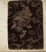 An illustration from Pattern book of silks and damasks (1700)