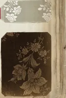 An illustration from Pattern book of silks and damasks (1700)