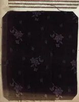 An illustration from Pattern book of silks and damasks (1700)
