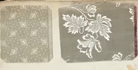 An illustration from Pattern book of silks and damasks (1700)