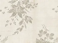 An illustration from Pattern book of silks and damasks (1700)