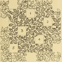 An illustration from Pattern design : a book for students treating in a practical way of the anatomy, planning & evolution of repeated ornament (1915)