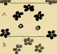An illustration from Pattern design : a book for students treating in a practical way of the anatomy, planning & evolution of repeated ornament (1915)