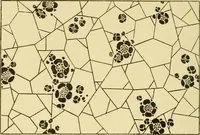 An illustration from Pattern design : a book for students treating in a practical way of the anatomy, planning & evolution of repeated ornament (1915)