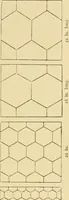 An illustration from Pattern design : a book for students treating in a practical way of the anatomy, planning & evolution of repeated ornament (1915)