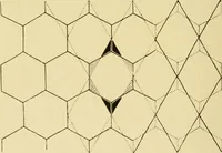 An illustration from Pattern design : a book for students treating in a practical way of the anatomy, planning & evolution of repeated ornament (1915)