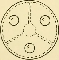 An illustration from Pattern making and foundry practice; a plain statement of the methods of wood pattern making, as practiced in modern pattern shops, with complete instructions for sweep work and notes on foundry practice, together with numerous drawings taken from actual patterns .. (1905)