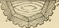 Picture 216 of 332 from Pattern making; a practical treatise for the pattern maker on wood-working and wood turning, tools and equipment, construction of simple and complicated patterns, modern molding machines and molding practice (1921), leaf 168