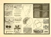 An illustration from Patterns for needle work, including the various kinds of embroidery, lace-work, etc., with diagrams showing the methods of making the various stitches (1882)