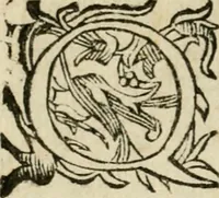 Picture 2 of 88 from Pauli Maccii Emblemata (1628), leaf 11
