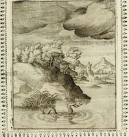 Picture 16 of 88 from Pauli Maccii Emblemata (1628), leaf 64