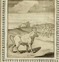 Picture 24 of 88 from Pauli Maccii Emblemata (1628), leaf 96