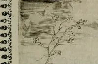 An illustration from Pauli Maccii Emblemata (1628)
