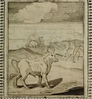 An illustration from Pauli Maccii Emblemata (1628)