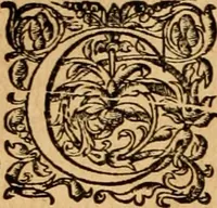 An illustration from Pausaniæ accurata Graeciae descriptio : qua lector ceu manu per eam regionem circumducitur: a Guilielmo Xylandro Augustano diligenter recognita, & ab innumeris mendis repurgata. Accesserunt annotationes, quæ a G. Xylandro paulo ante obitum inchoatæ, nunc vero a Frid. Sylb. continuatæ ... addita etiam doctissima Romuli Amasæi versio .. (1583)