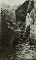 An illustration from Pavia e la sua certosa : guida artistica (1911)