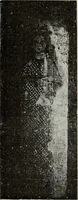 An illustration from Pavia e la sua certosa : guida artistica (1911)
