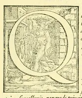 An illustration from Pavli Iovii novocomensis Episcopi nucerini de vita Leonis Decimi Pont. Max. Libri Quatuor : his ordine temporum acce[ss]erunt Hadriani Sexti Pont. Max (1551)